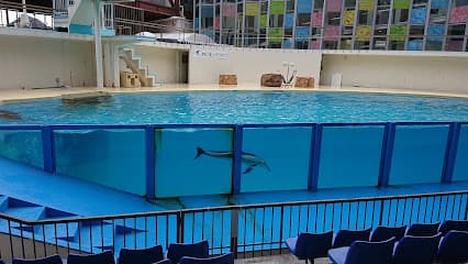 伊豆・三津シーパラダイス