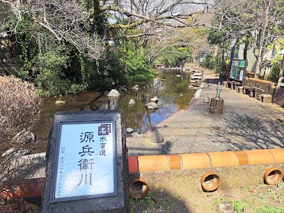 源兵衛川
