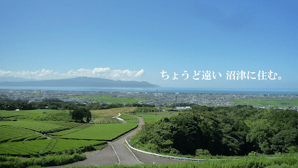 池田不動産